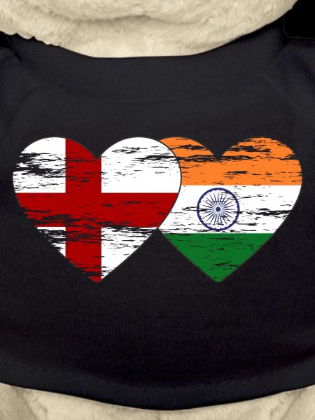 England India flag used