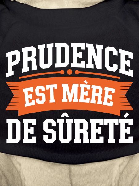 Prudence est mère de sureté