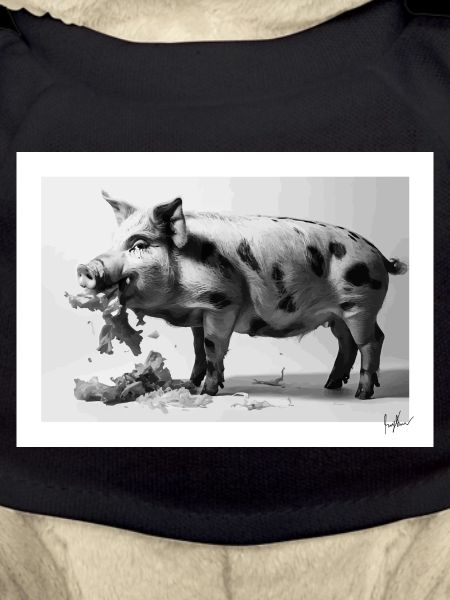 Schwein isst Salat