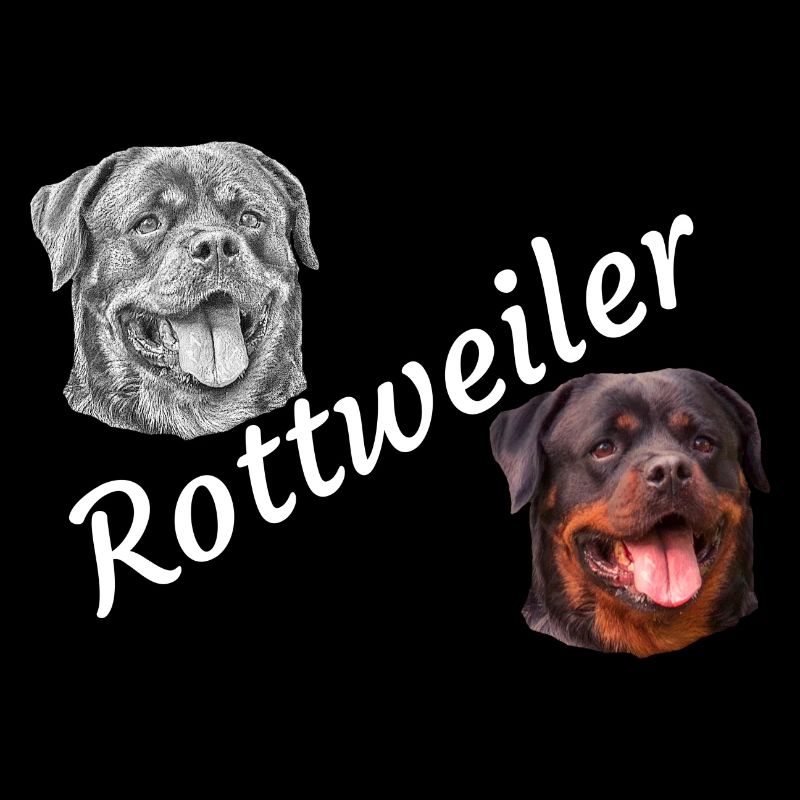 Rottweiler, chiens, tête de chien, chien de garde, chien de race,