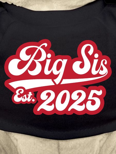 Big Sis Est 2025