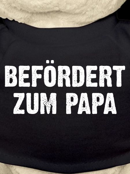 Befördert Zum Papa