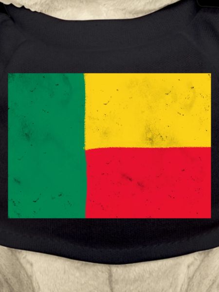 Drapeau du Bénin