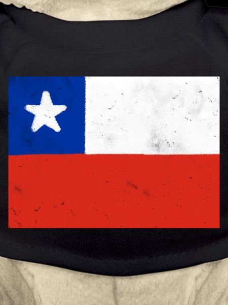 Flag of Chile