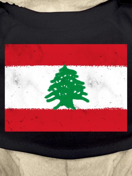 Drapeau du Liban
