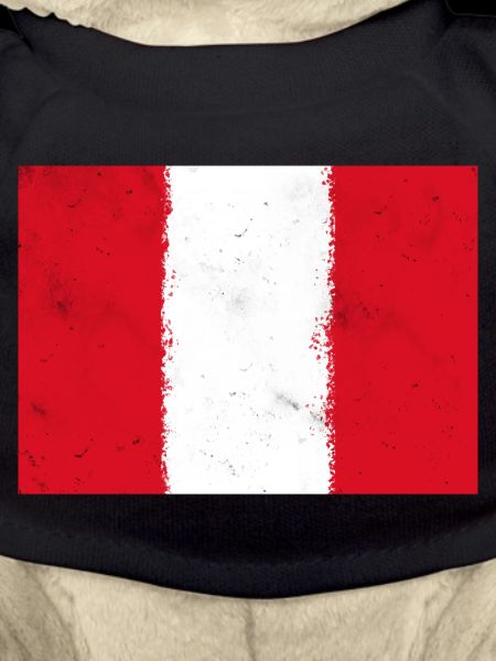 Flag of Peru