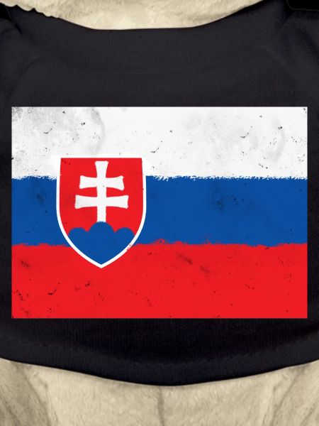 Flag of Slovakia