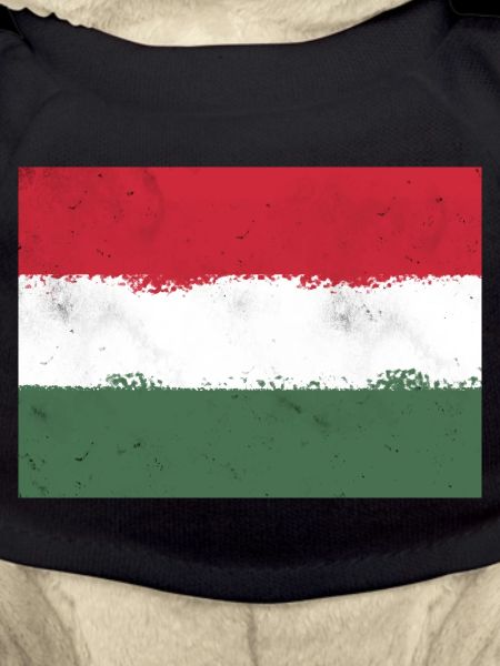 Flag of Hungary