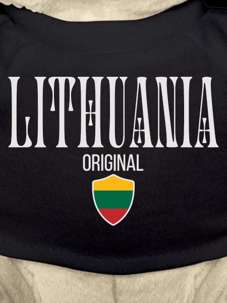 Lithuanian flag, Lithuanian pride