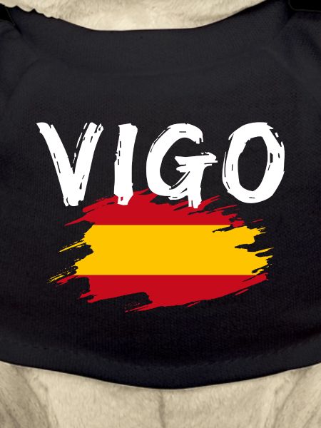 Vigo, Espagne