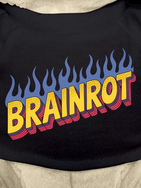Brainrot - Lustige Memes