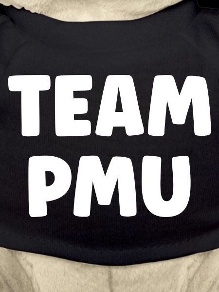 Pmu
