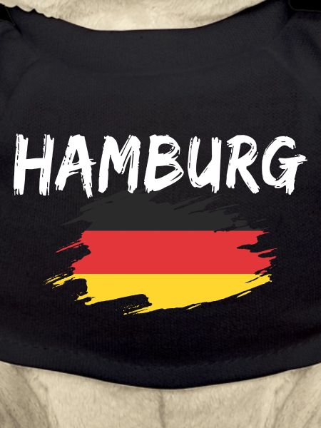 Hamburg Germany Flag