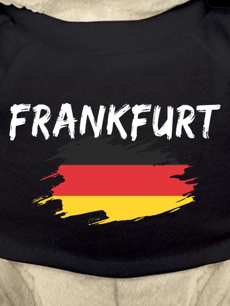 Frankfurt Germany Flag