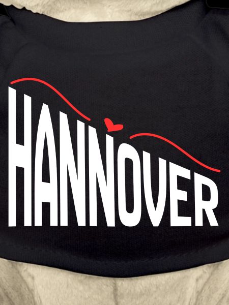 Hanovre