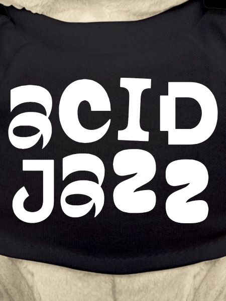 Typographie Gold Jazz Bold
