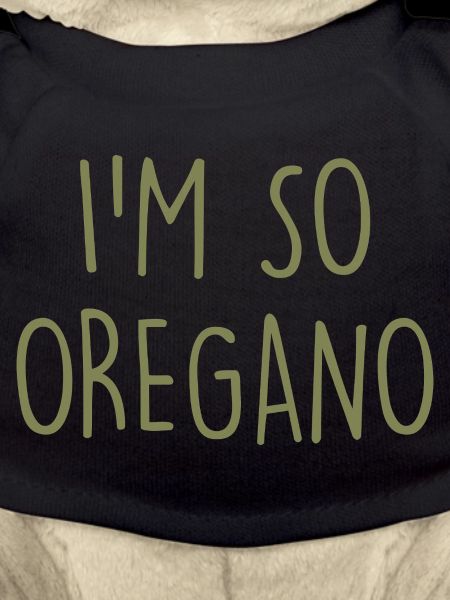 Origan