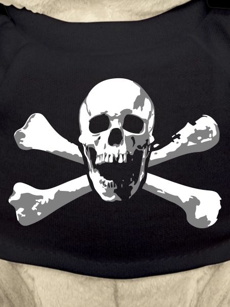 Skull & Bones