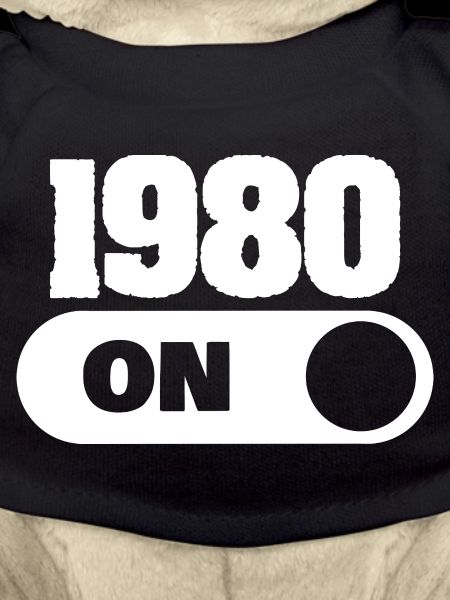 Jahr 1980