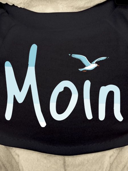 Moin Seagull