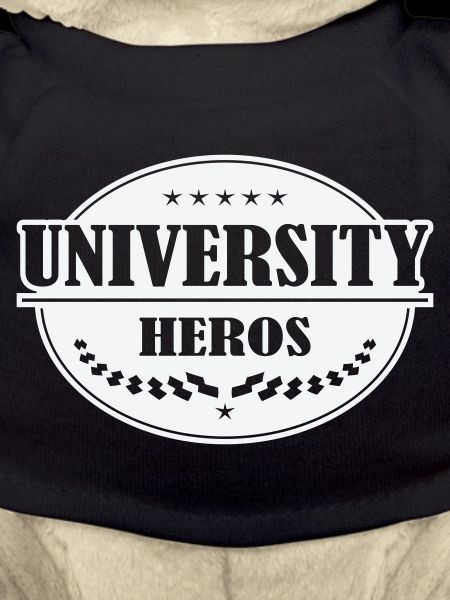 Insigne Unihelden
