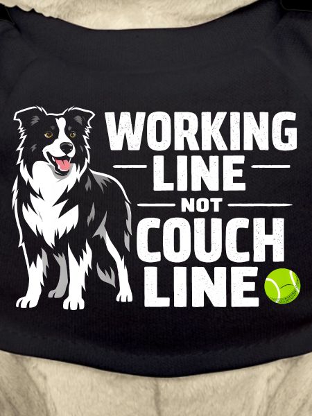 Arbeitslinie statt Sofa | Border Collie
