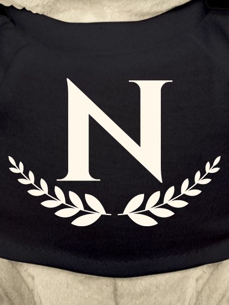 N