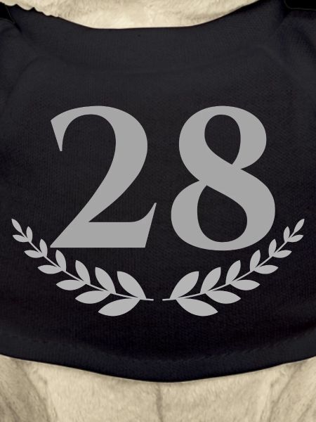 28