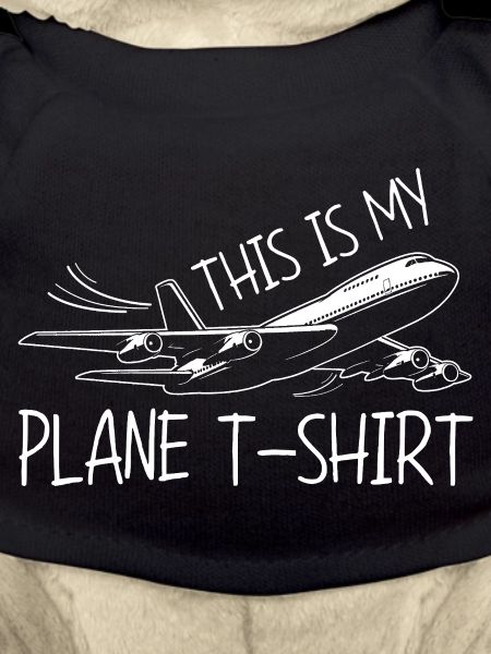 Airplane Flight Pilot Airplane Airline
