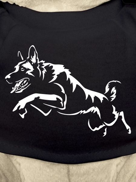 Malinois « Édition Noire »