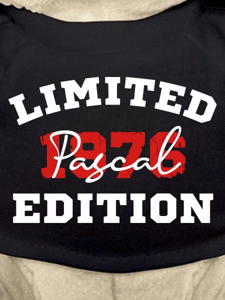 Limited Edition Pascal 1976
