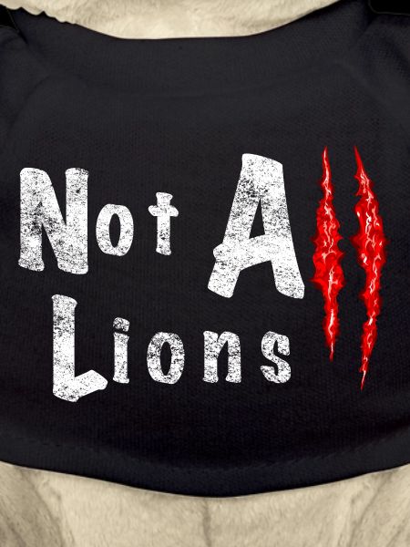Not All Lions 2...