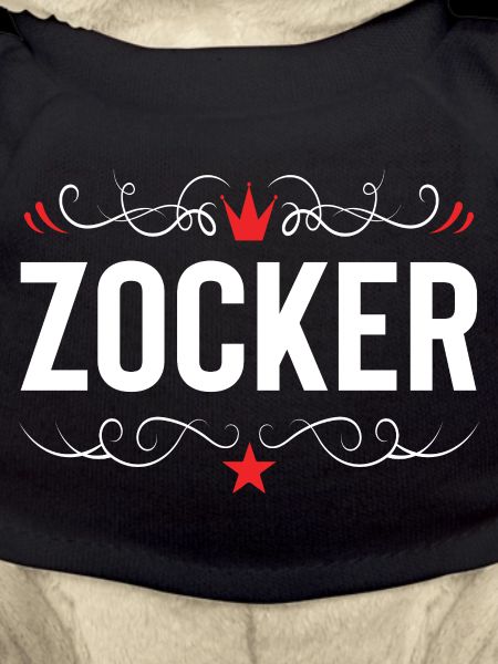 Zocker Gamer
