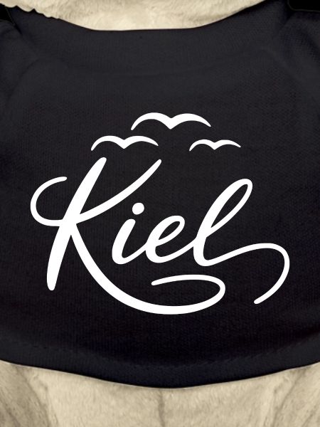 Kiel Möwen Hansestadt Kiel