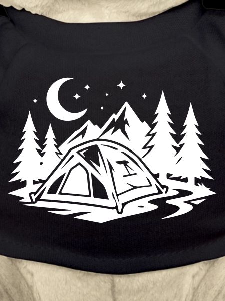 Tent Camping Forest
