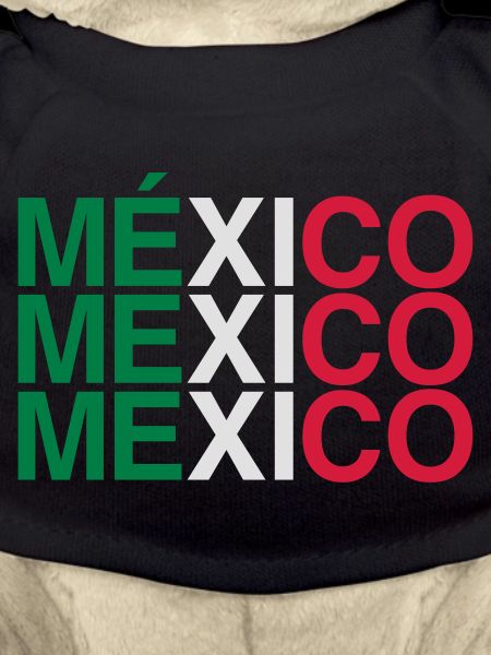 Drapeau du Mexique Drapeau mexicain