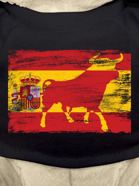 Spain bull flag