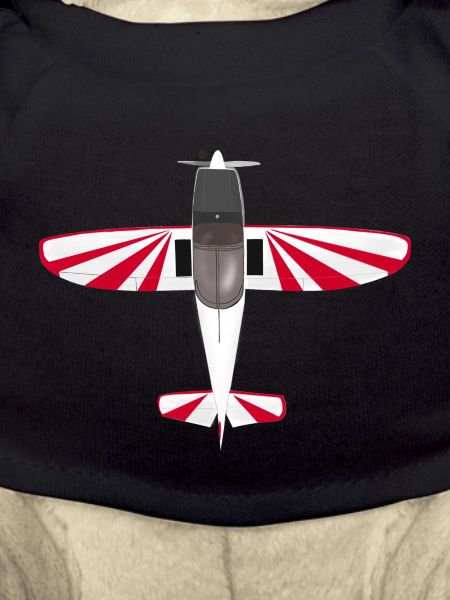 avion cap10