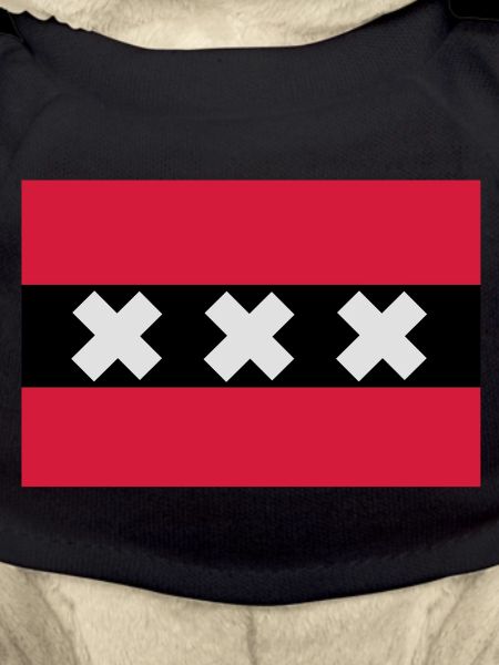 Drapeau de Amsterdam