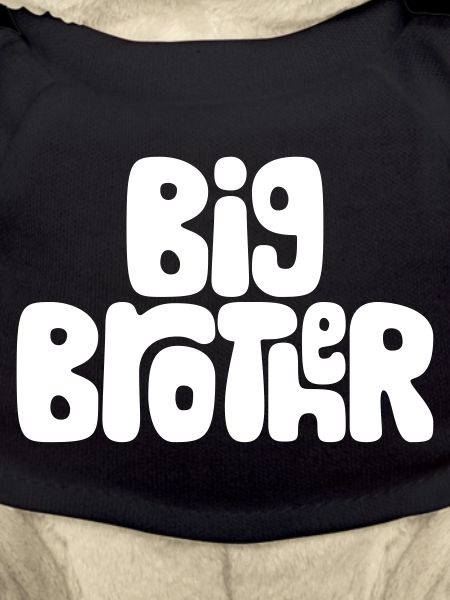 Big brother