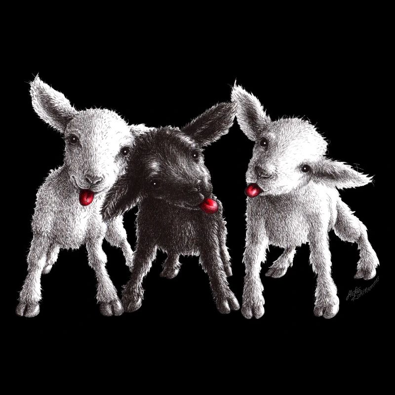 mouton effronté
