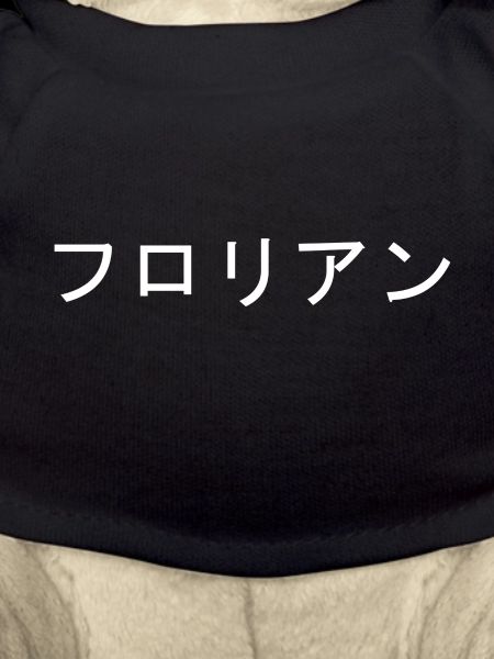 Florian Japanese