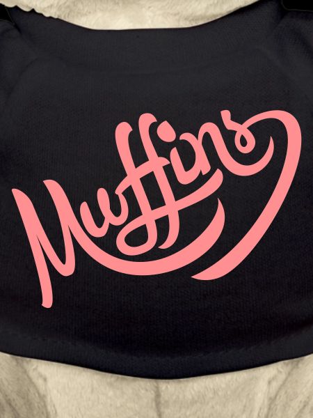 muffin