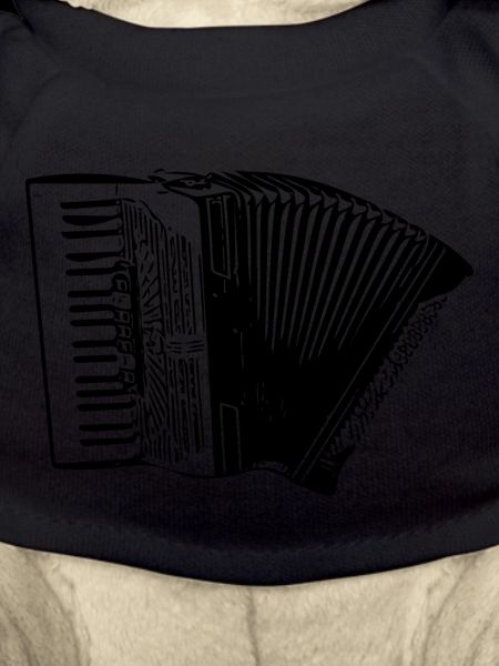 accordion