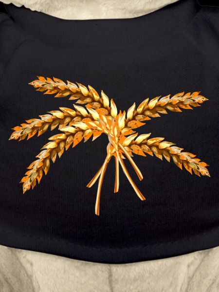 grain
