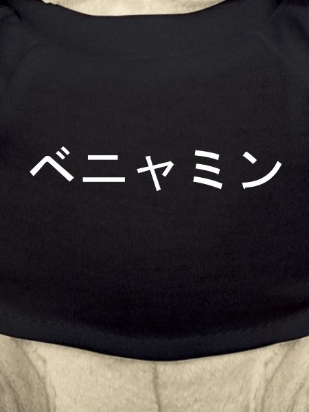 Benjamin japonais