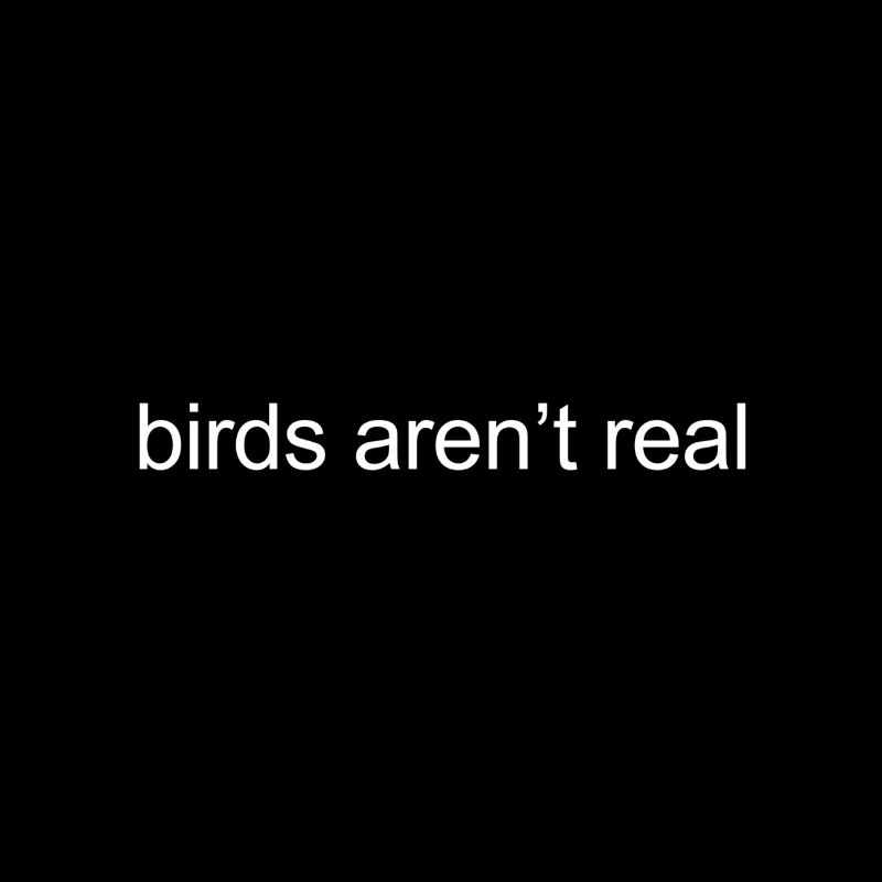birds aren't real