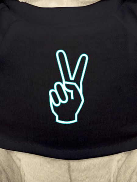 Victory sign icon