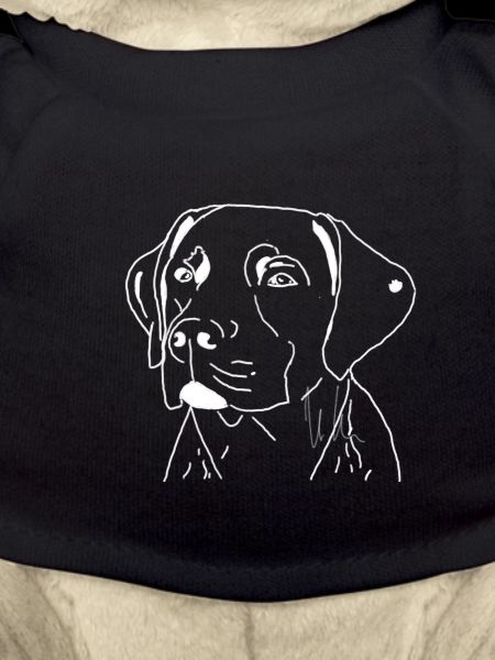 Labrador