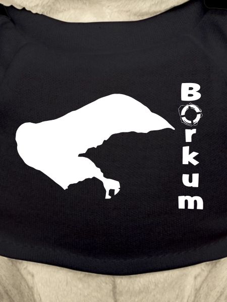 Borkum